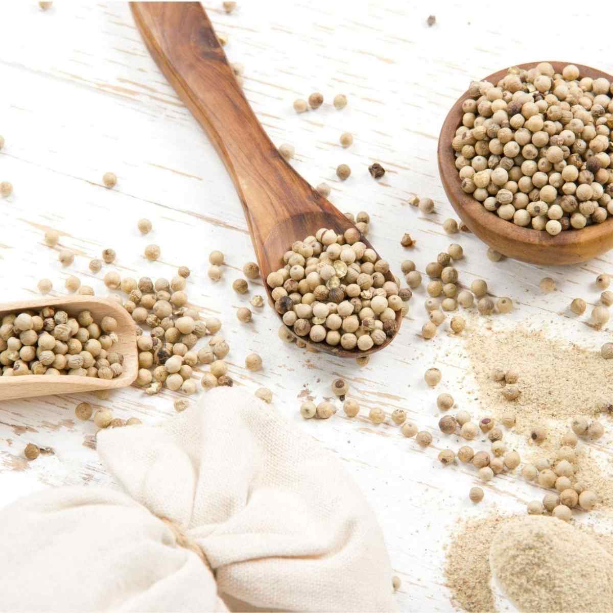 White Pepper ( Safed Gol Mirch )