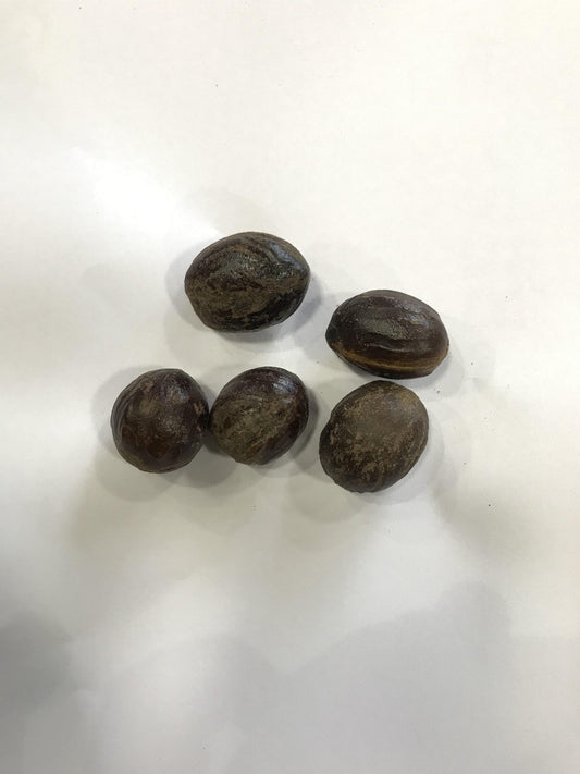 Jaiphal ( Nutmeg )