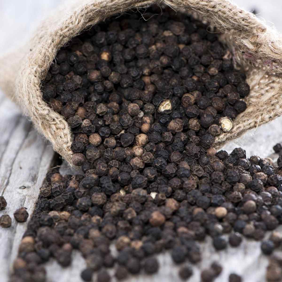 Black Pepper ( Gol Mirch )
