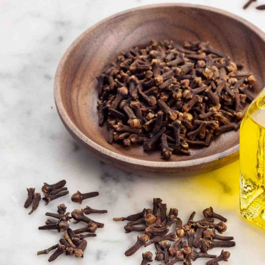 Cloves ( Lawang )