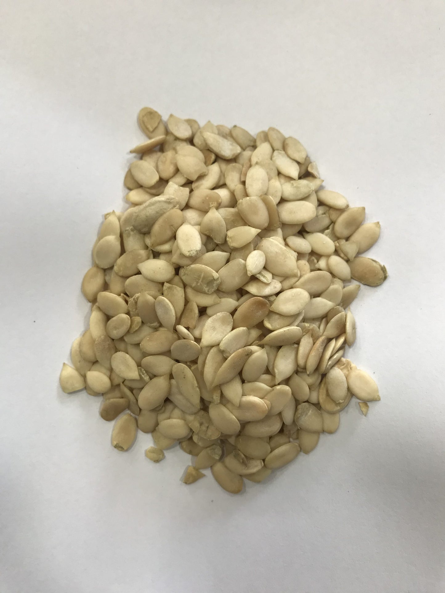 Watermelon Seeds